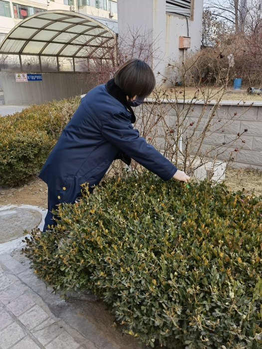 QQ图片20220309105127