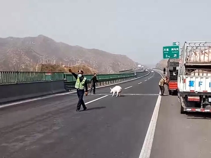 1113_看图王