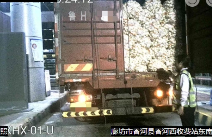 假绿通腌蒜