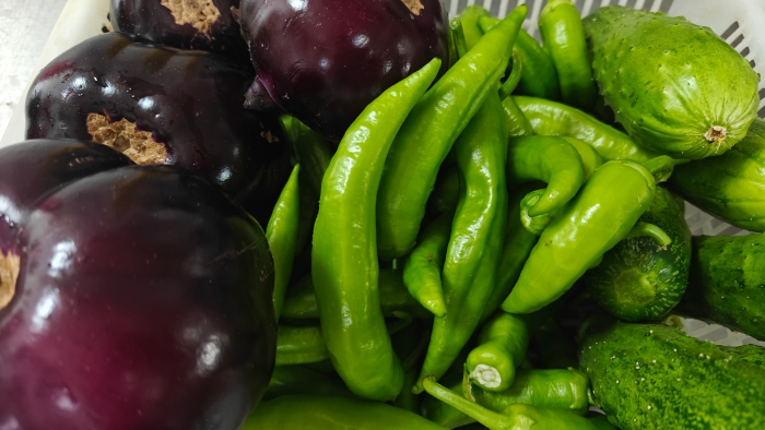 微信图片_20250611112156