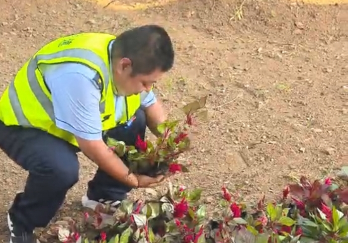 1ccfee2d0365d4a63fed5051d509a0f