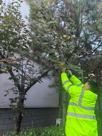 微信图片_20251022153504