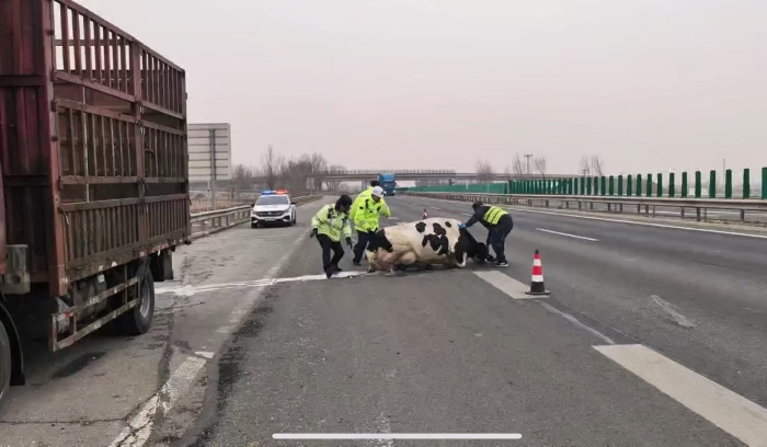 微信图片_20260119151709