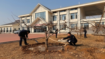 F:\00分公司季度检查\2026年\办公室\3.2026年宣传\3月份\7植树1