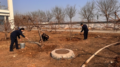 F:\00分公司季度检查\2026年\办公室\3.2026年宣传\3月份\7植树2