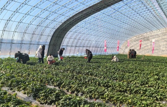 微信图片_2026-03-12_100906_484