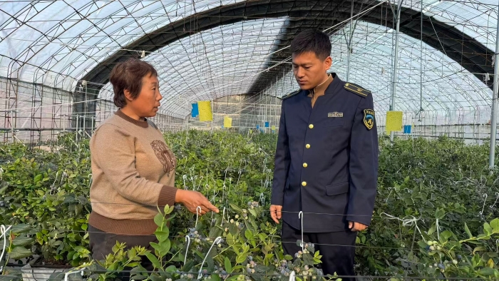 D:\2026年办公\2026宣传\四月\走访蓝莓采摘2